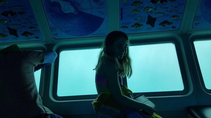 オプションのアップグレードとロサンゼルスからのカタリナ島日帰り旅行