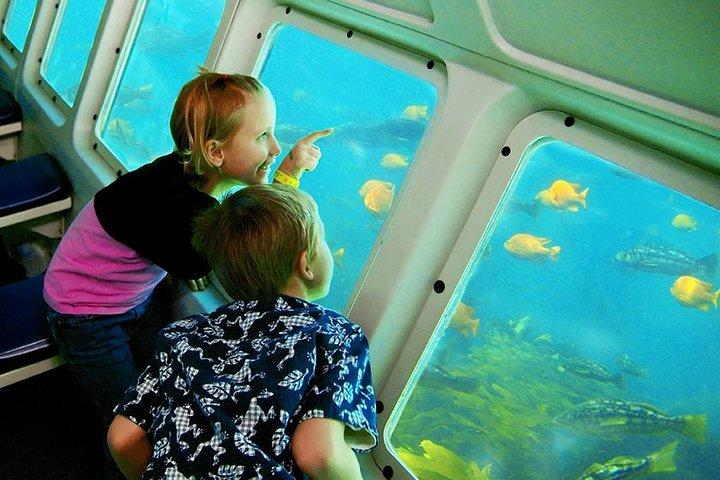 Tagesausflug nach Catalina Island von Hotels im LAX-Gebiet mit Undersea Adventure