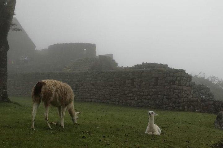 Vista di 3 giorni - Cusco e Machu Picchu