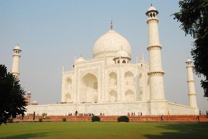 Taj Mahal vid soluppgången och Agra Day - Tour från Delhi