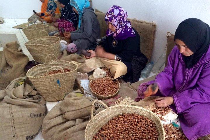 Ourika Valley - Private Day trip from Marrakech