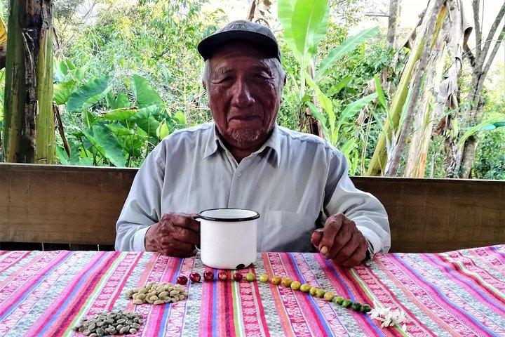 Coffee Farm Experience: 1-Day Coffee Tour from Cusco