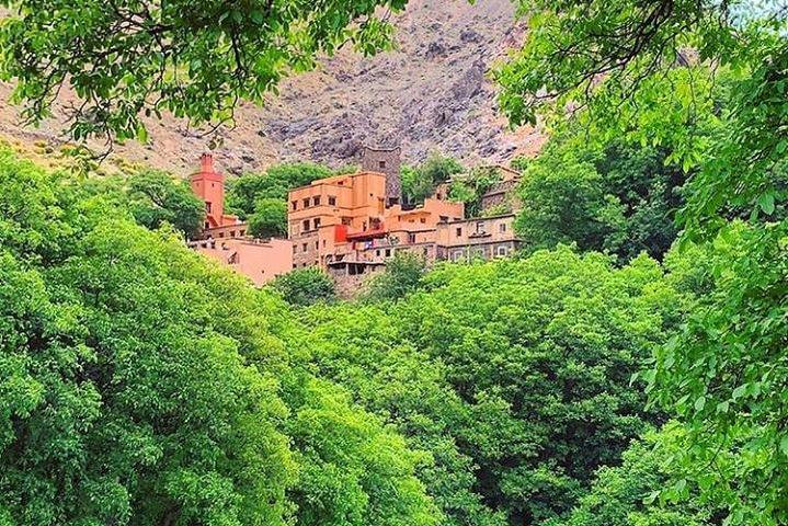 Atlas Mountains e 3 valli Day Trip da Marrakech