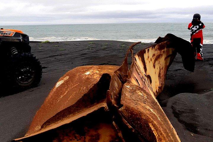 2-Hour Black Sand Beach Buggy Tour from Hella