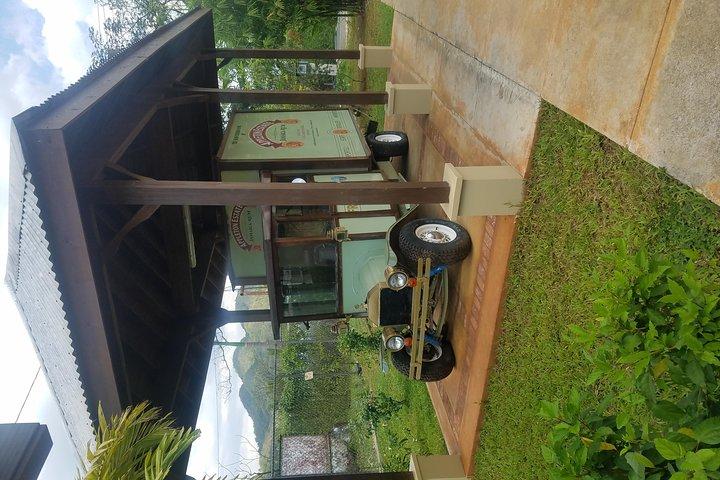 Appleton Estate Rum Tour [Serviços de transporte]