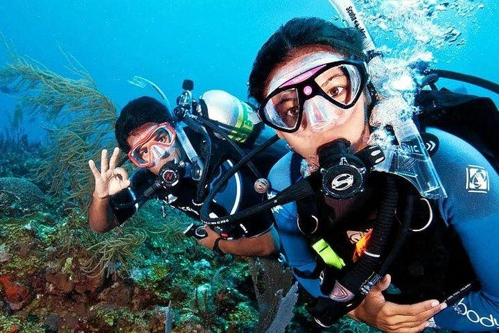 Scuba Diving on Catalina Island | 2 tanks, 2 spots