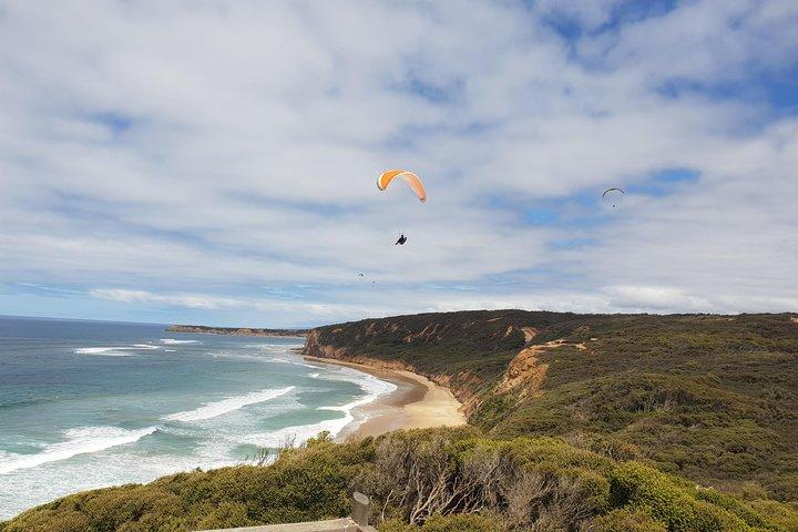Excursion privée d'une journée sur la grande route de l'océan depuis Melbourne