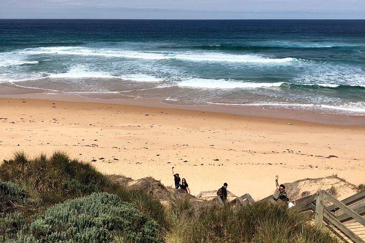 Aventure privée avec les pingouins de Phillip Island