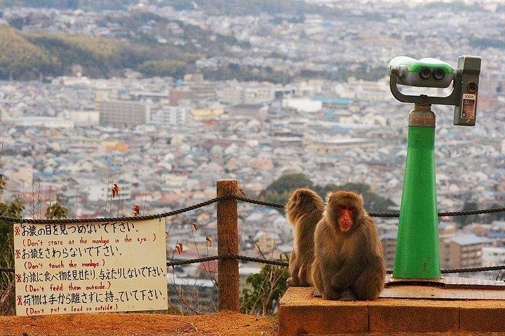 Kyoto Customized Private Tour: Se de bedste seværdigheder på 1 dag