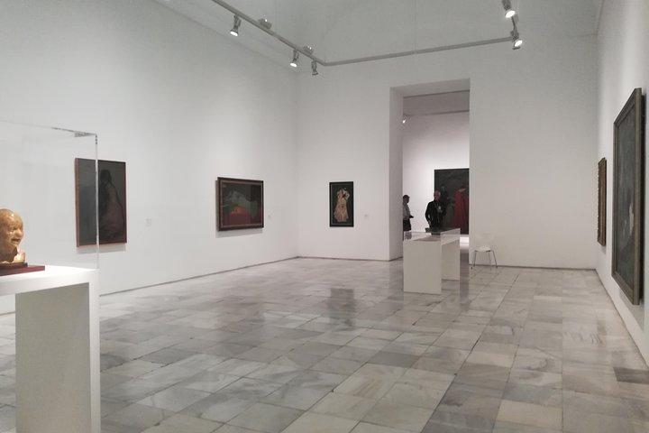Visita privata nel Museo Reina Sofía con Entrada e Guía