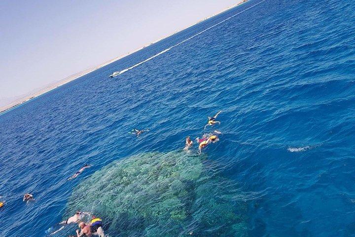 Trip To Dolphin House and Banana Boat Fun from Hurghada