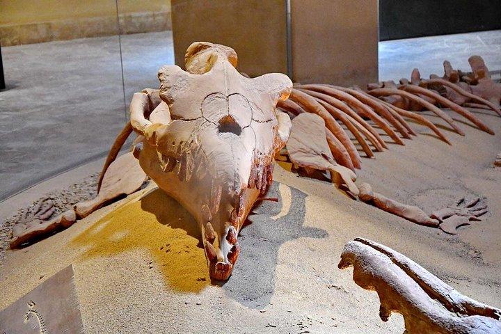 カイロ発ワディ・エル・ヒタンと滝の日帰り旅行