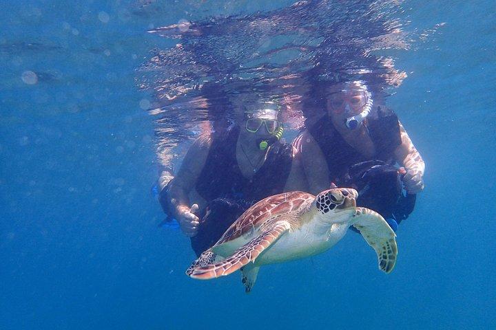Turtle Beach Powersnorkelavontuur Pickup uitgesloten
