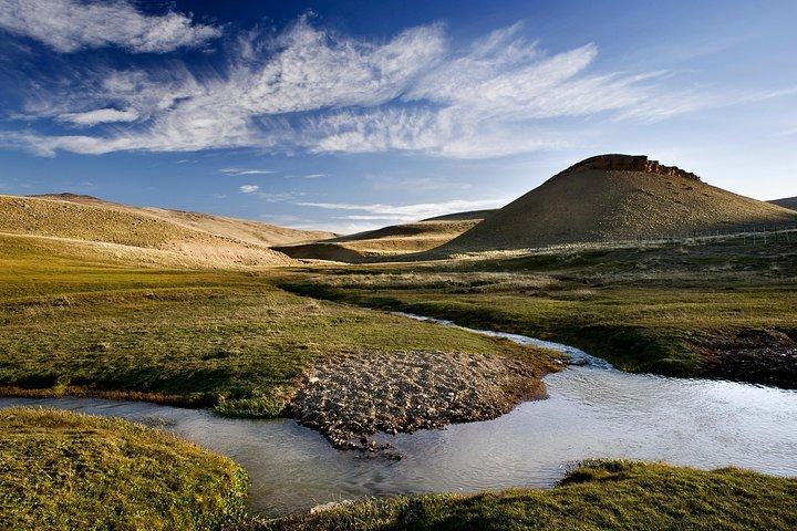 Safari-Erlebnis - Wildlife & Steppe