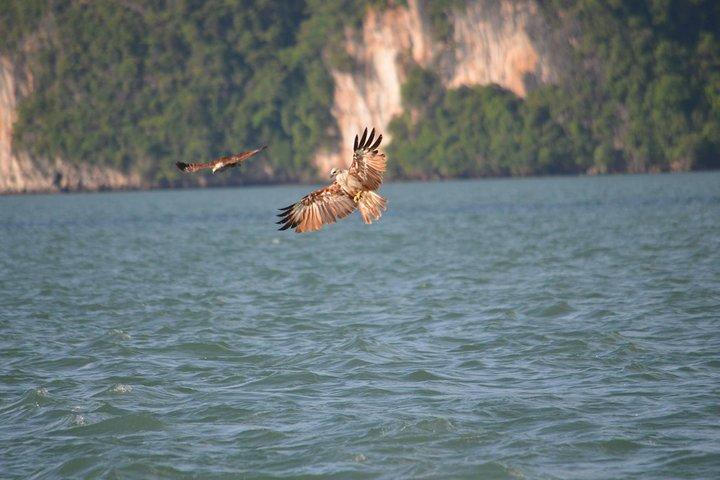 John Gray's Adventure Hong by Starlight na Baía de Phang Nga