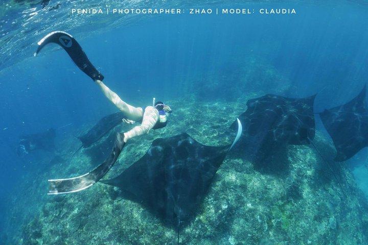 Snorkelling in Nusa Penida - Manta Point