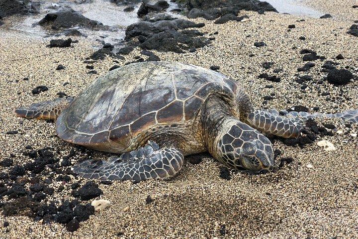 プライベートサークルアイランドツアーではあなたの夢の旅程を作成します