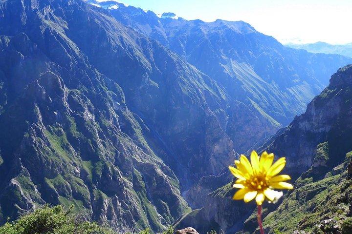 2 dag 1 nat trek / Colca Canyon