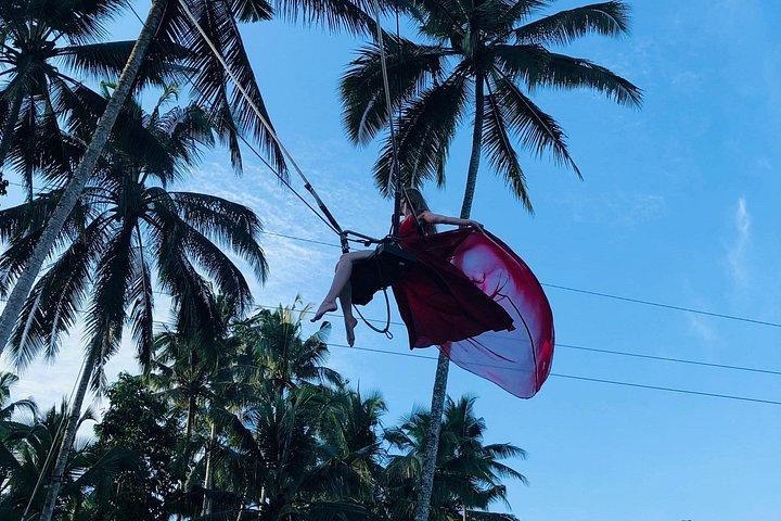 Ubud Highlights Tour from Kuta