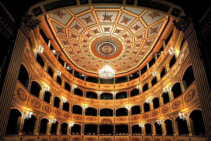 Private guided Malta shore excursion with a professional guide and transport