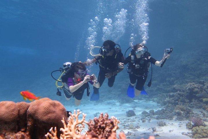 Plongée Padi à Marsa Alam