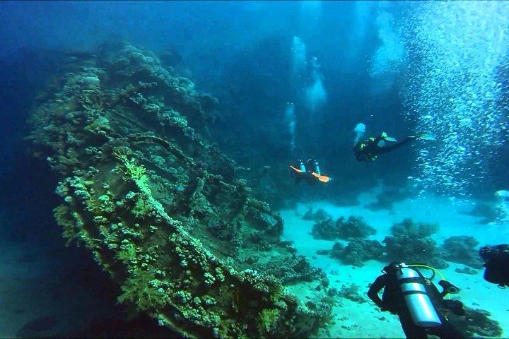 Plongée Padi à Marsa Alam