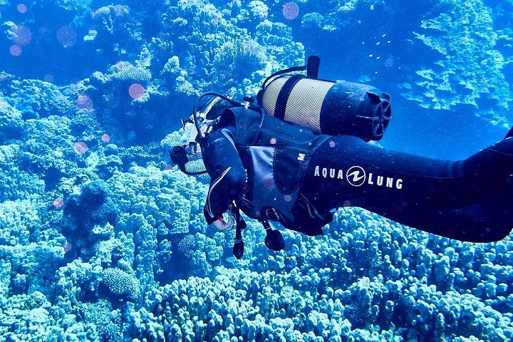 Padi Scuba Diving In Marsa Alam