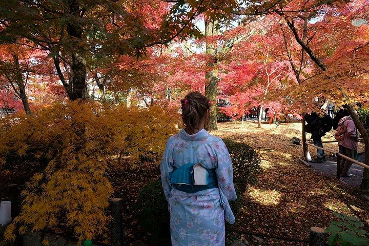 あなただけの京都を巡る – パーソナライズされたプライベートウォーキングツアー
