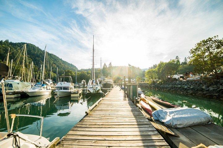 Excursion en jetski à Vancouver avec dîner à Bowen Island