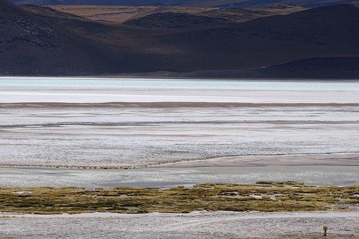 Programa Privado 4 Dias / San Pedro De Atacama