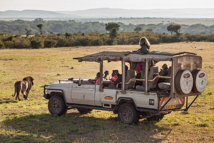 Ciudad del Cabo 3 - Day Attraction Tour : Safari Tour & Wine& Robben Island