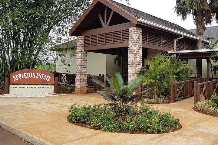 Tour e degustação de rum da Appleton Estate saindo de Negril