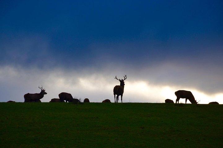 Les meilleurs circuits de deux jours en Irlande : les circuits Ring of Kerry et Dingle Slea Head