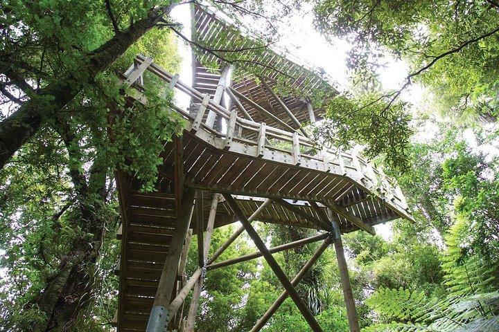 サンクチュアリ・マウンテン（マウンタオタウタリ山）＆ハミルトン・ガーデンズオークランドからの日帰り旅行