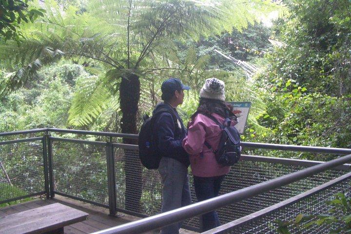 Blue Mountains PRIVATE Day Tour from Sydney plus Wildlife Park
