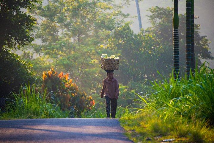 Bali halvdagsfotografering
