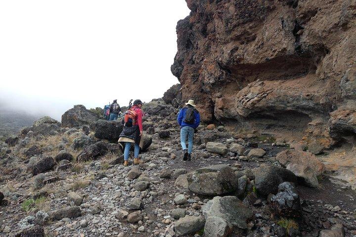 Mt. Kilimanjaro Day Vandring