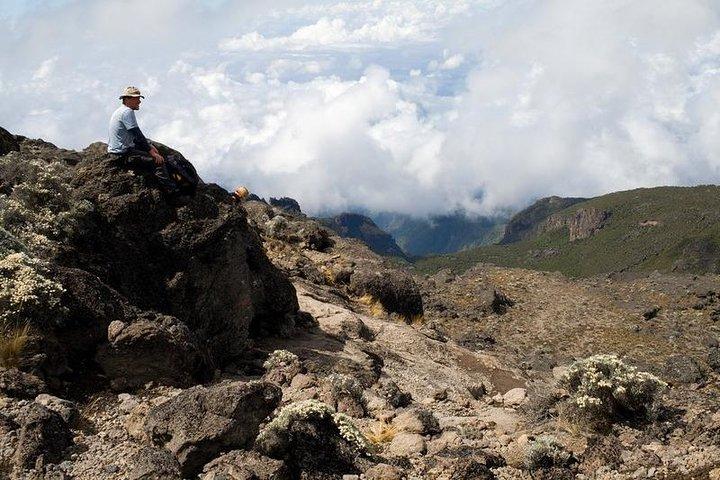 7 días de subida a la ruta Machame