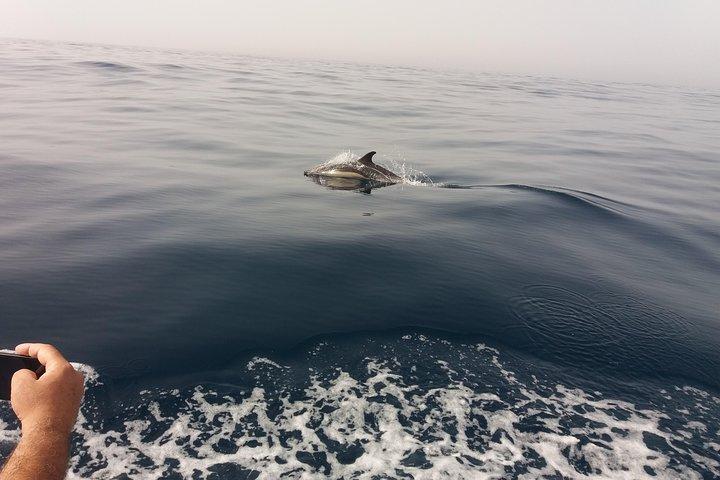 Ruta de los delfines