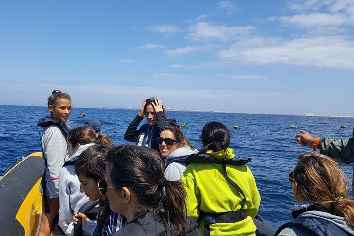 Ruta de los delfines