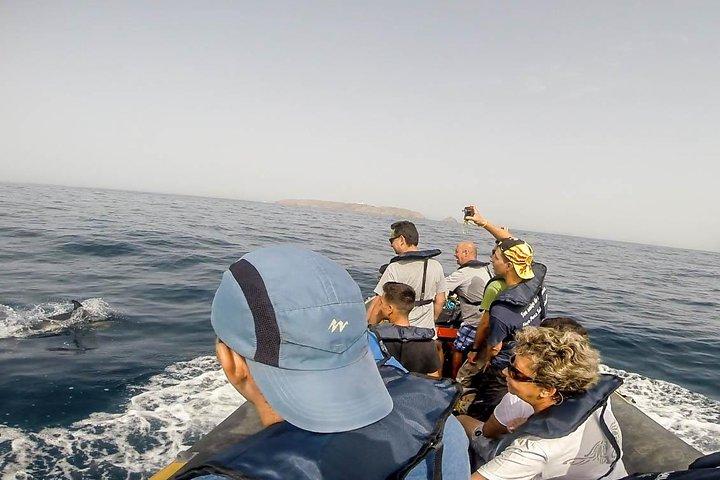 Ruta de los delfines