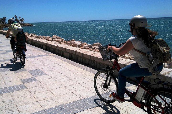E-cykeltur og udlejning i Malaga