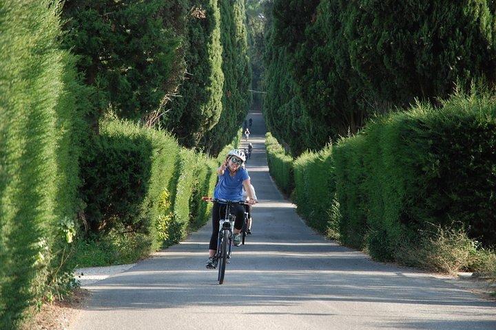 ワインの試飲付きキャンティの丘を巡るトスカーナ自転車ツアー