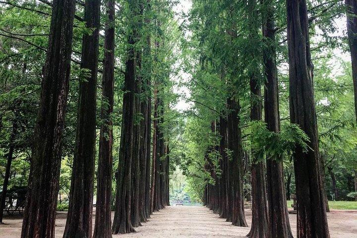 南怡島と近隣の観光スポット : ドライバー付きチャーターバン ツアー