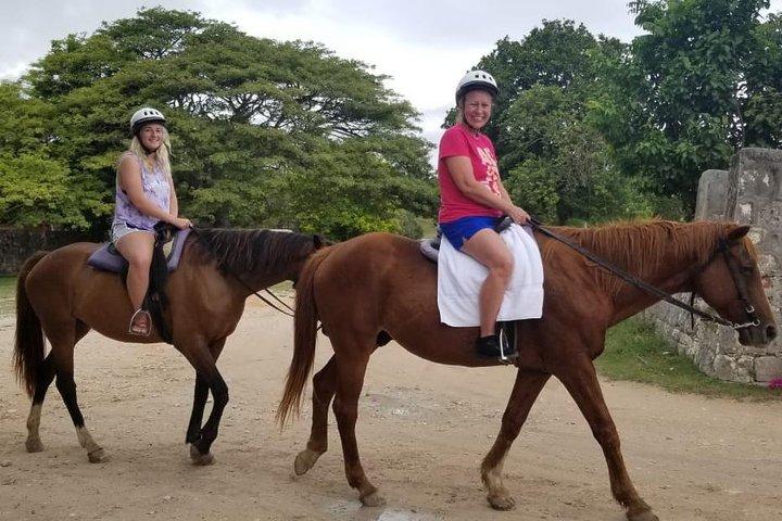 ファルマスからの乗馬n泳ぎと緑の洞窟のアドベンチャーツアー