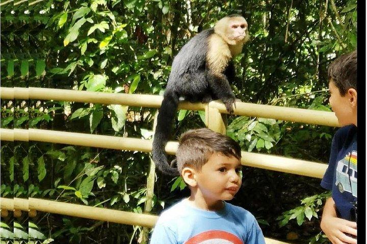 10 in 1 Puntarenas Highlights tour