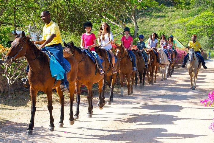 Jamaica Zipline e Horseback Ride n Swim Adventure Tour da Ocho Rios