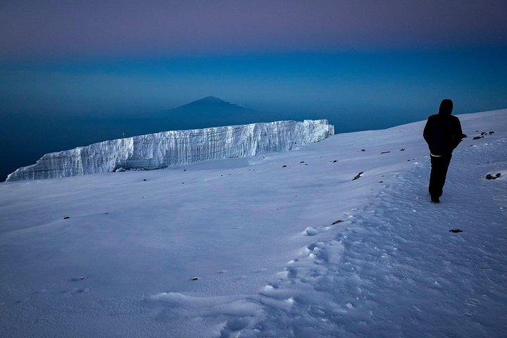 8-dages privat Kilimanjaro-klatring via Lemosho-ruten fra Arusha