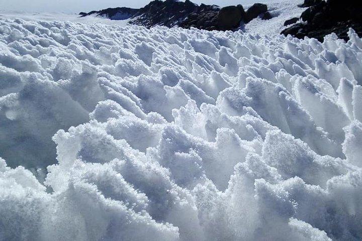 Subida privada de 8 días al Kilimanjaro a través de la ruta Lemosho desde Arusha