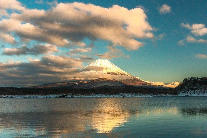 Visites guidées privées de la région du mont Fuji en anglais - La nature de près, calme, personnelle
